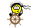 :captain: