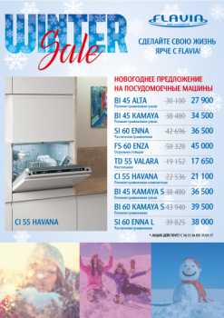 Flavia winter sales - winter sale.PNG