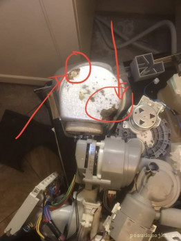 Dryer Siemens SR66T091RU 01 - 2D432485-4EDB-44DB-9F21-934C8BDA5BB8.jpeg