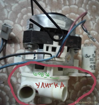 How to open the snail in the Willing YXW65-2A pump - Улитка насоса 2023-09-20 21-03-51.jpg